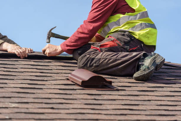 Best Metal Roofing Contractor  in Virginia Beach, VA